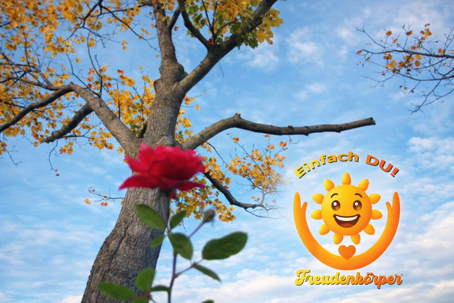 Rote Rose und herbstlicher Baum mit Freudenkörper-Logo